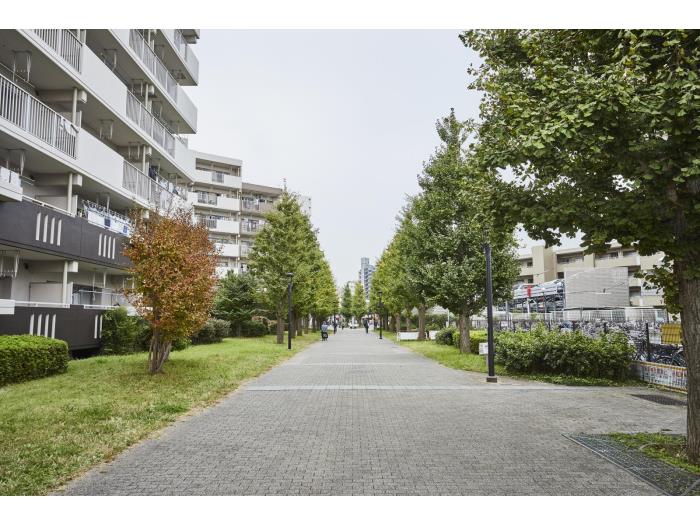 apartment ふじみ野市霞ヶ丘1-4ほか

住棟配置図