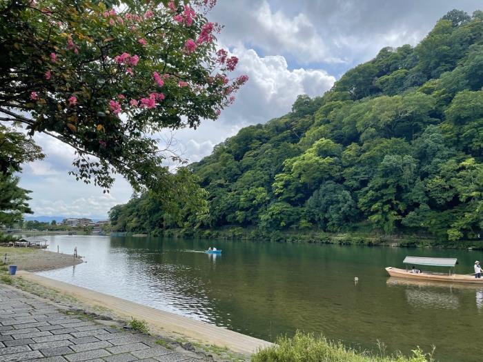 apartment 京都市右京区嵯峨北堀町20番12

住棟配置図