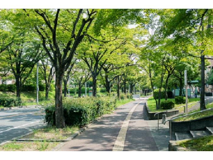 apartment 枚方市香里ヶ丘1丁目22番地 他（Ｅ地区）

住棟配置図