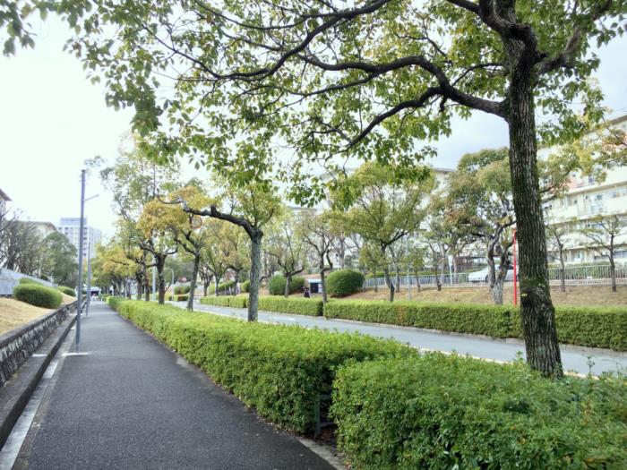 apartment 吹田市津雲台二丁目1番・2番

住棟配置図