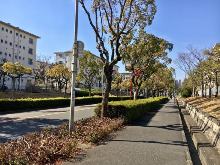 apartment 吹田市津雲台二丁目1番・2番

住棟配置図