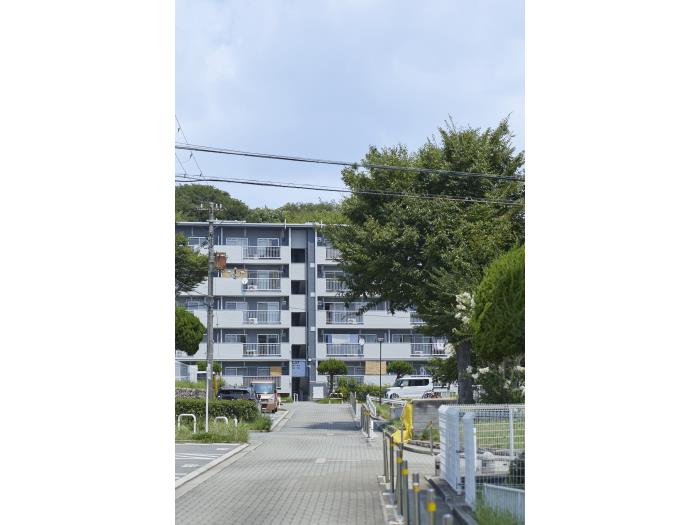 UR賃貸住宅の網戸まとめて3枚譲ります。 UR賃貸の掃出し窓