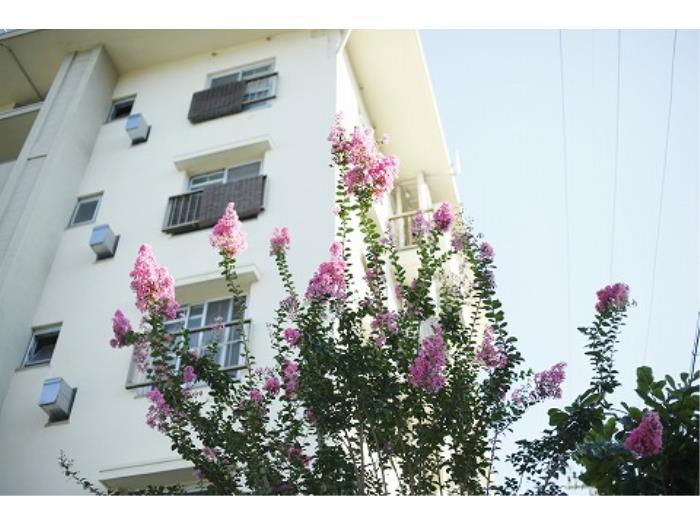 apartment 豊中市新千里西町三丁目1番

住棟配置図