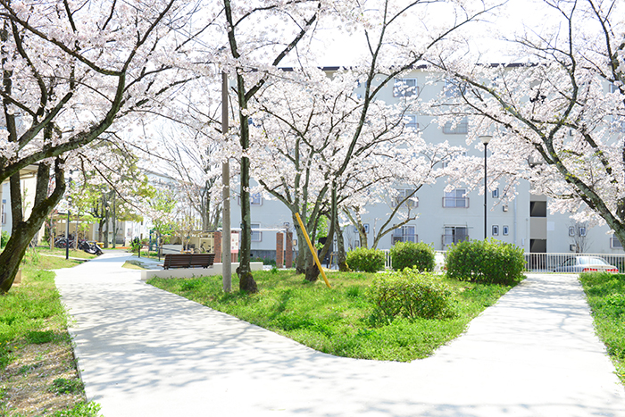 apartment 富田林市寺池台四丁目2番

住棟配置図