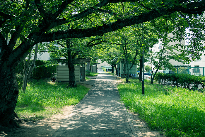 apartment 富田林市寺池台四丁目2番

住棟配置図