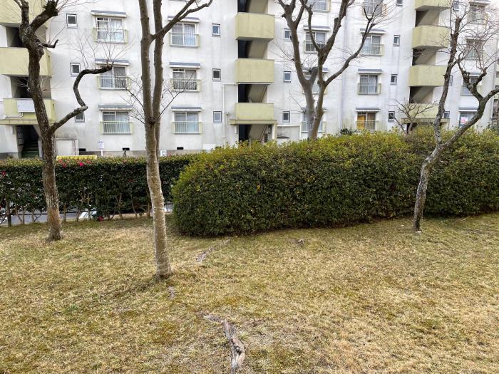 apartment 大津市大平二丁目31番地

住棟配置図