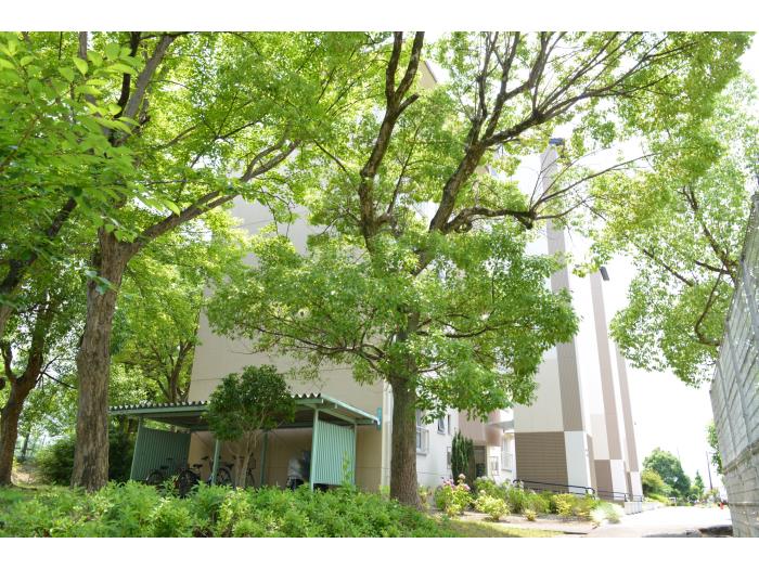 apartment 八幡市男山竹園 他

住棟配置図