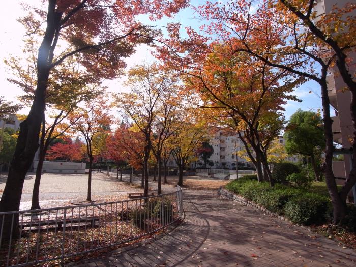 apartment 八幡市男山竹園 他

住棟配置図
