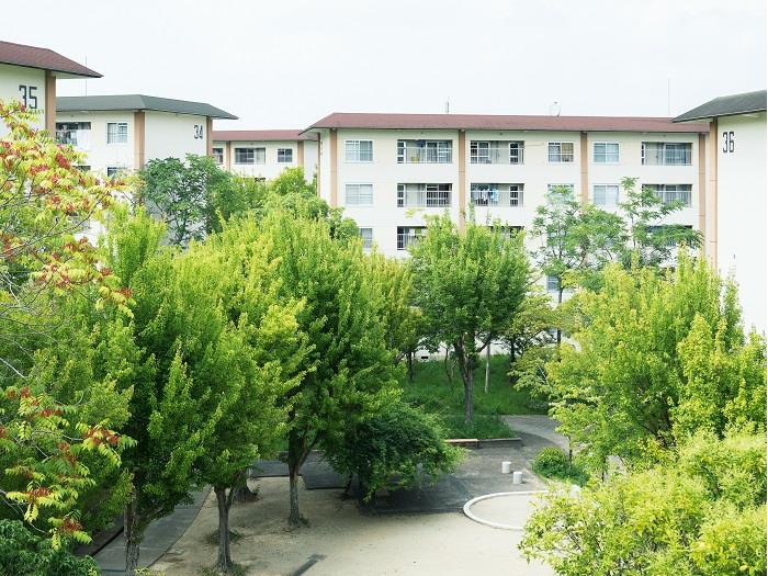 apartment 奈良市右京2丁目1番地の2、2番地・3番地

住棟配置図