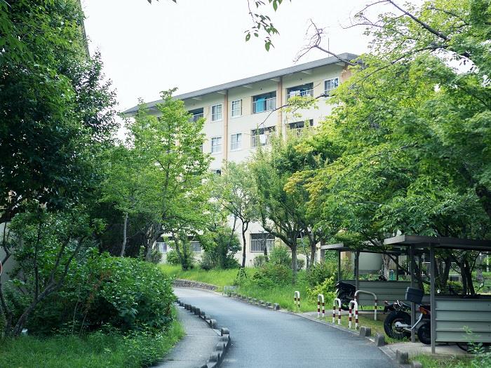 apartment 奈良市右京2丁目1番地の2、2番地・3番地

住棟配置図