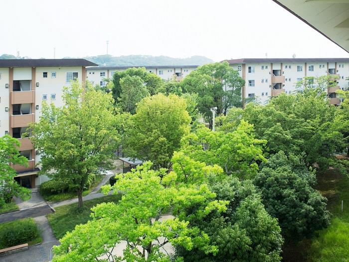 apartment 奈良市右京2丁目1番地の2、2番地・3番地

住棟配置図