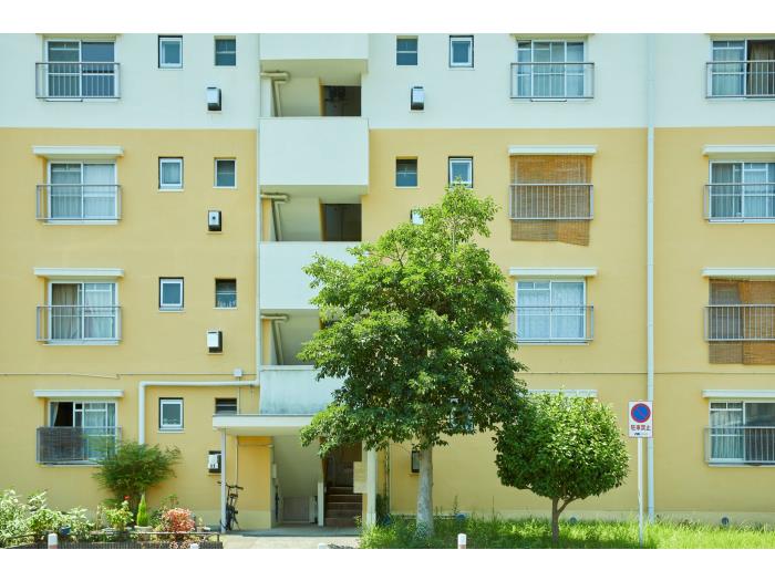 apartment 泉南市信達大苗代62番地

住棟配置図