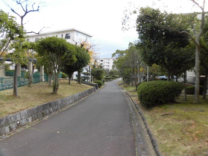 apartment 明石市大久保町高丘三丁目1番地の2

住棟配置図