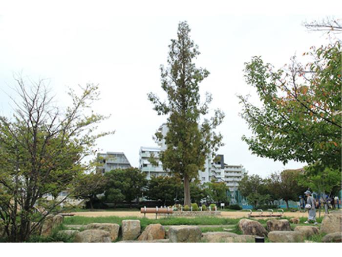 apartment 神戸市長田区若松町五丁目5番1号

住棟配置図