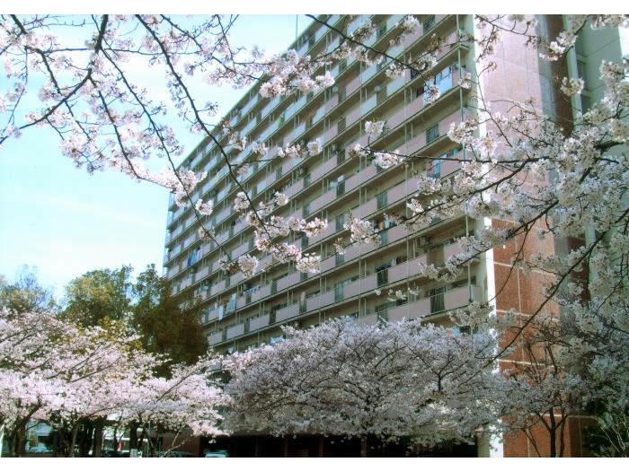 大阪府大阪市福島区にあるUR賃貸住宅 鷺洲第2の周辺写真 2/14