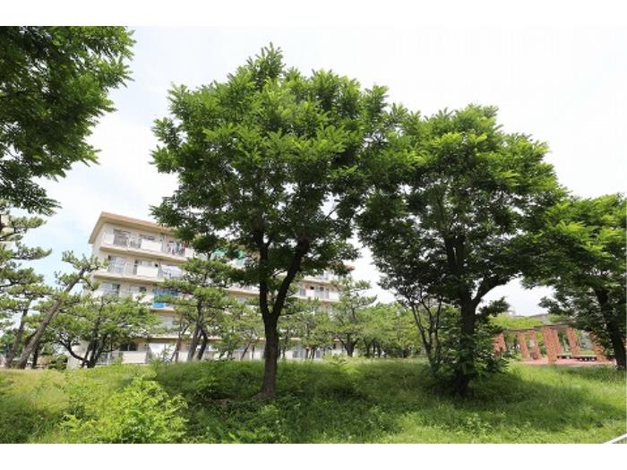 apartment 阪南市尾崎町七丁目1番・2番

住棟配置図