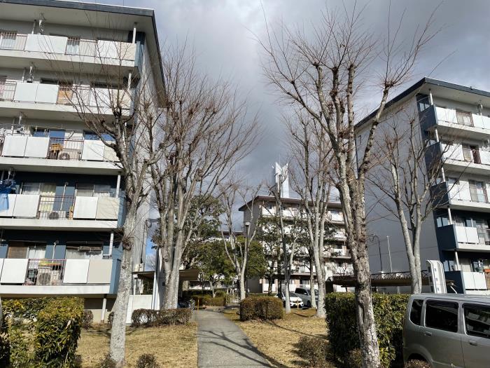 apartment 亀岡市北河原町一丁目2～6番地・二丁目1～6番地

住棟配置図