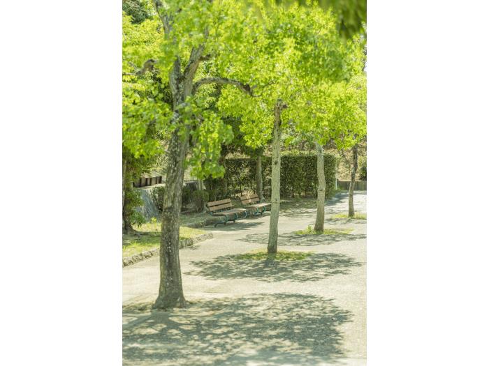 apartment 神戸市須磨区北落合三丁目1番

住棟配置図