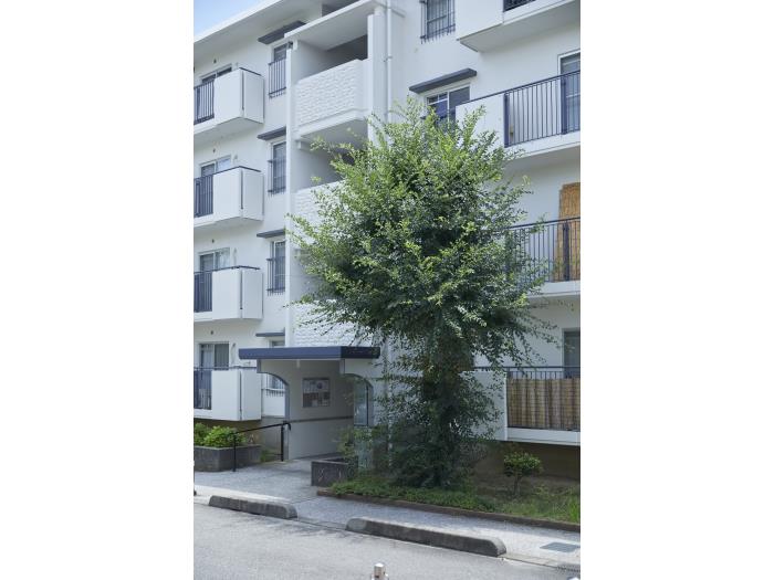 apartment 富田林市藤沢台一丁目1番

住棟配置図