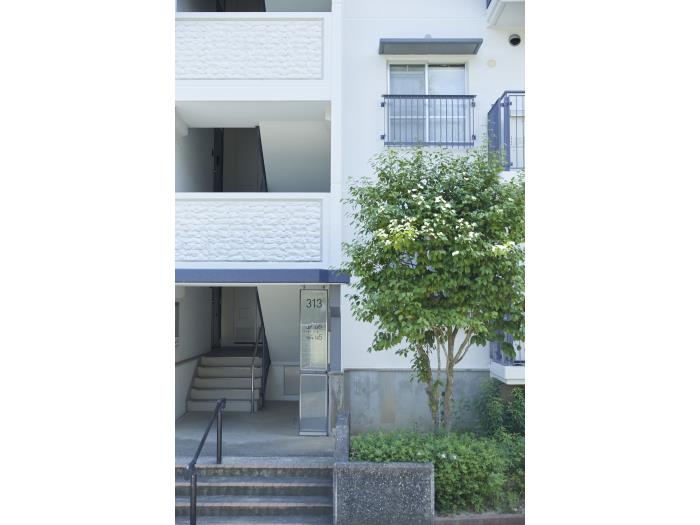 apartment 富田林市藤沢台一丁目1番

住棟配置図