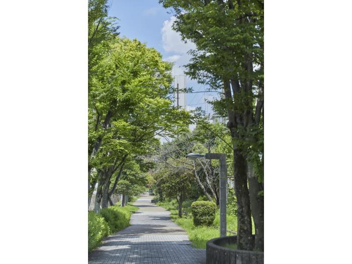 apartment 富田林市藤沢台一丁目1番

住棟配置図