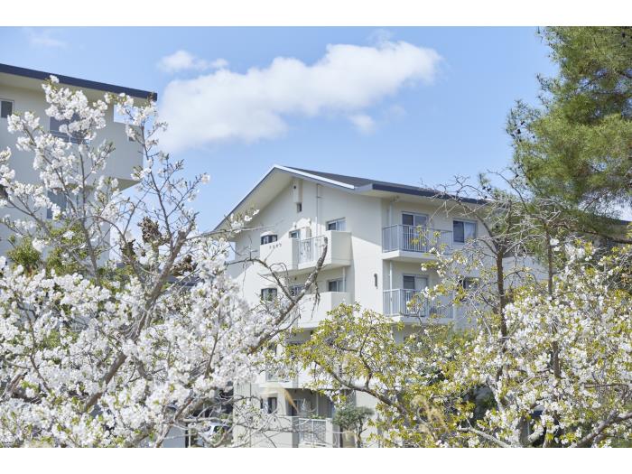 apartment 奈良市青山3丁目1番地