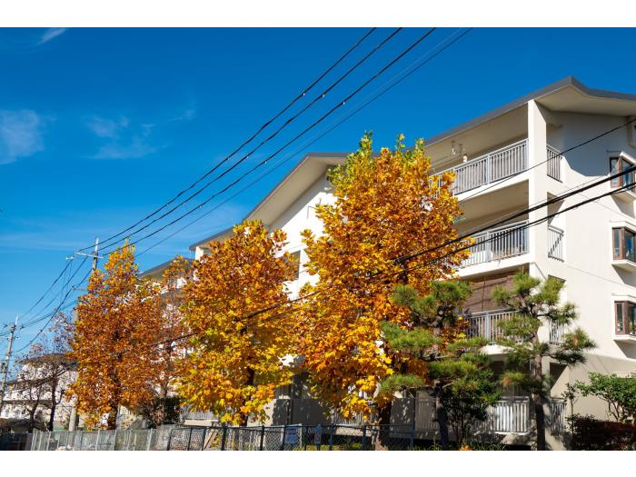 apartment 奈良市青山3丁目1番地