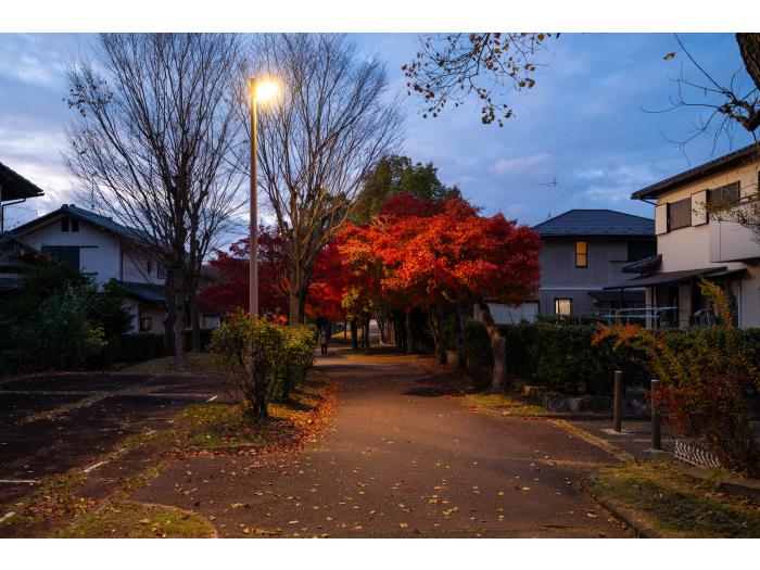 apartment 奈良市青山3丁目1番地