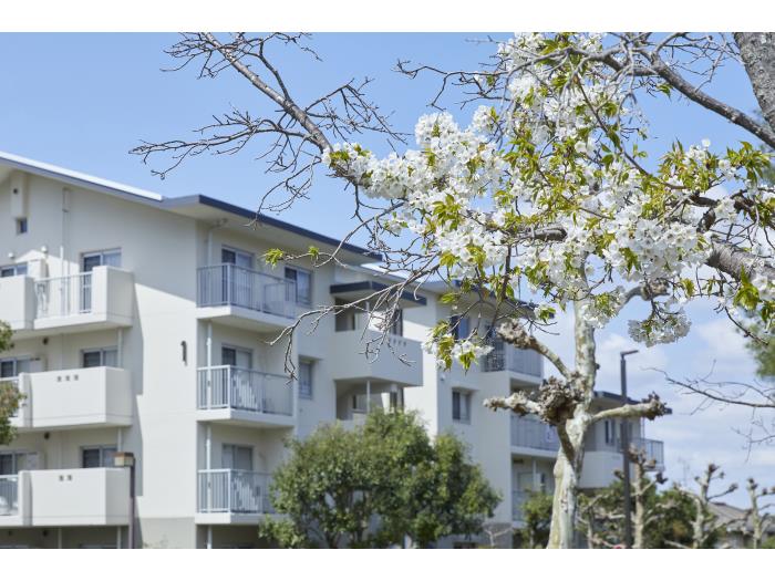 apartment 奈良市青山3丁目1番地