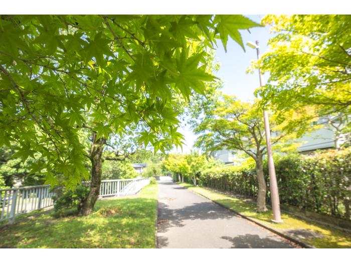 apartment 奈良市青山3丁目1番地