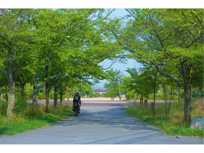 apartment 三田市あかしあ台三丁目28番地

住棟配置図