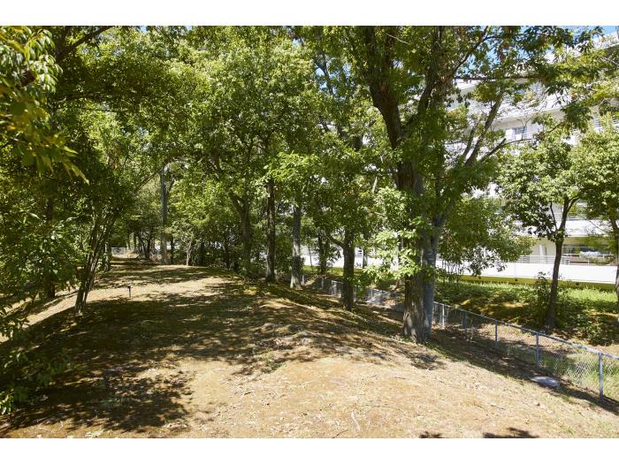 apartment 木津川市兜台1丁目1番地

住棟配置図