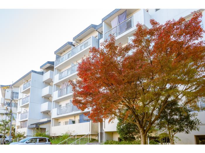 apartment 奈良市青山1丁目1番地

住棟配置図