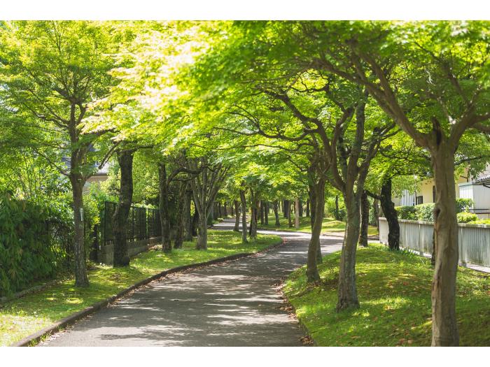 apartment 奈良市青山1丁目1番地

住棟配置図