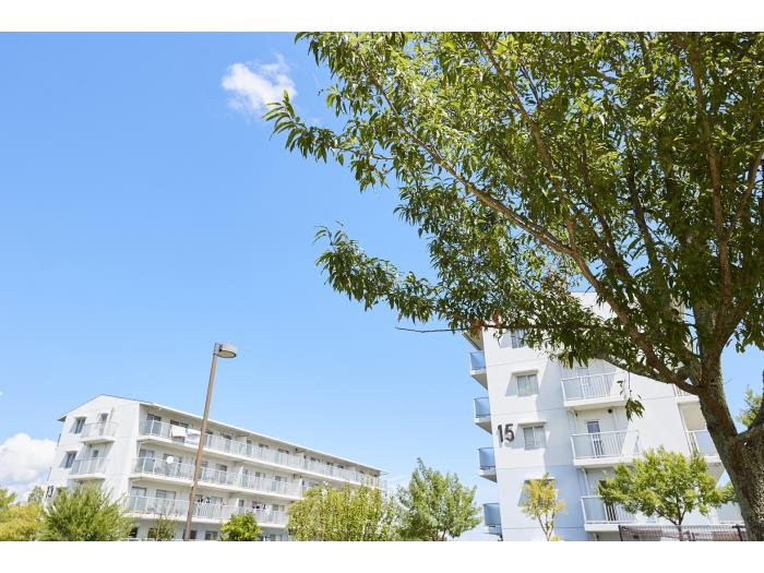 apartment 木津川市相楽台8丁目1番地

住棟配置図