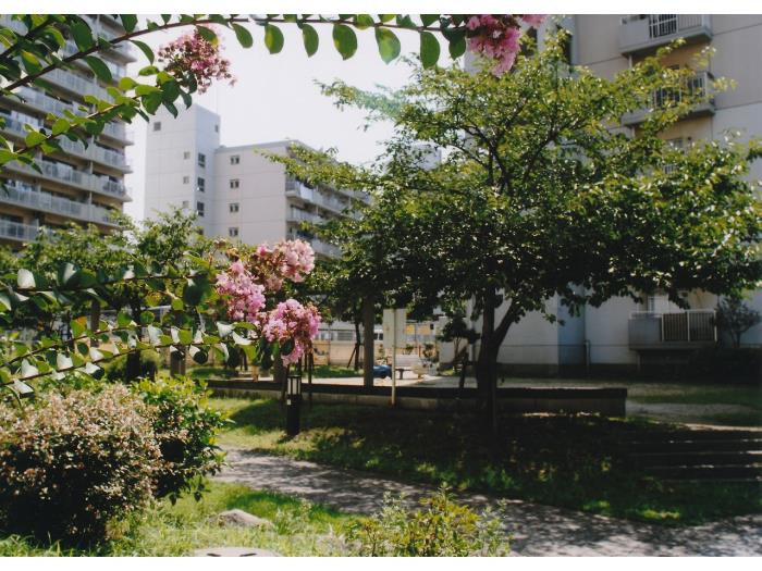 apartment 大阪市西淀川区出来島三丁目2番

住棟配置図