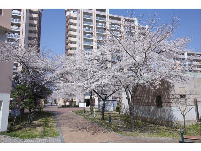 apartment 大阪市東住吉区湯里三丁目2番

住棟配置図
