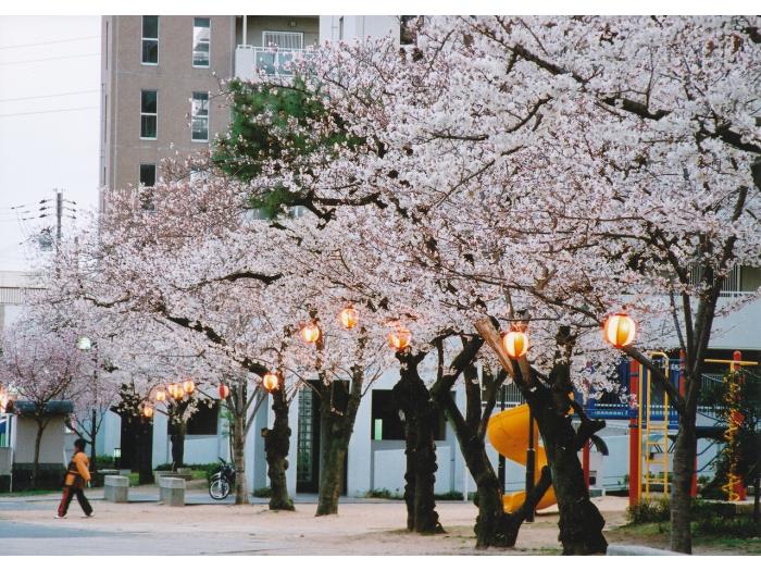 apartment 伊丹市寺本四丁目70番・72番1

住棟配置図