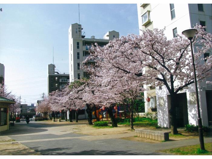 apartment 伊丹市寺本四丁目70番・72番1

住棟配置図