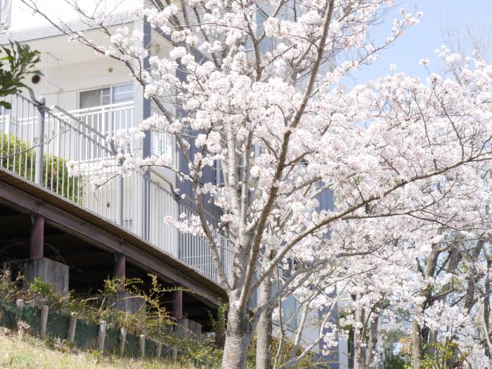 apartment 木津川市兜台5丁目1番地3

住棟配置図