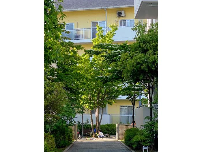 apartment 木津川市兜台5丁目1番地3

住棟配置図