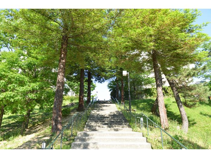 apartment 豊中市旭丘1・3・4・6・7・9番

住棟配置図