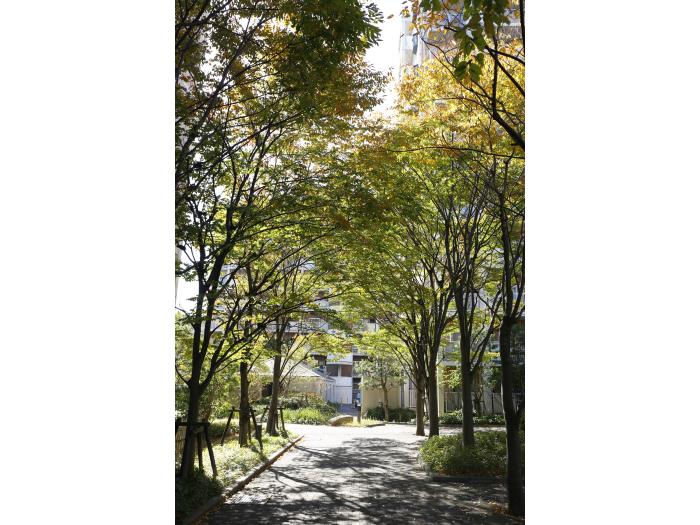 apartment 神戸市西区井吹台西町二丁目2番

住棟配置図
