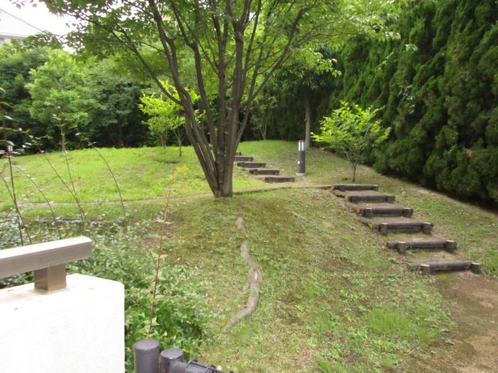 apartment 芦屋市東芦屋町25番

住棟配置図