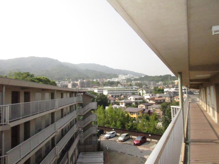 apartment 芦屋市朝日ヶ丘町4番

住棟配置図