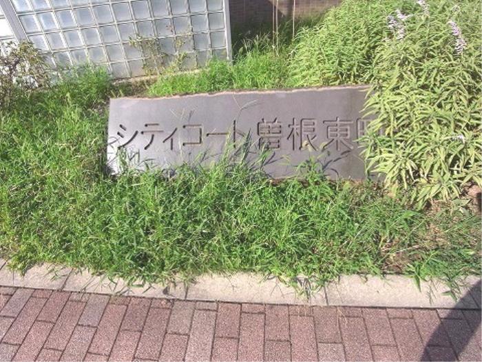 apartment 豊中市曽根東町六丁目5番

住棟配置図
