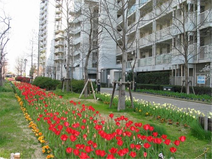 apartment 尼崎市潮江一丁目6番

住棟配置図