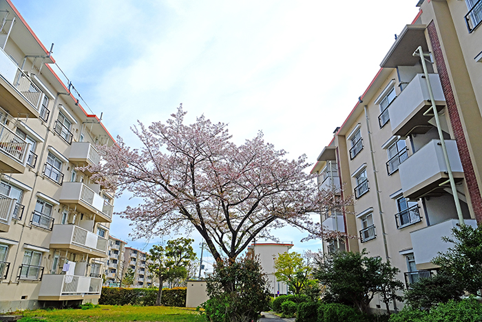 apartment 枚方市香里ヶ丘九丁目5番地の1 他（Ｄ地区）

住棟配置図