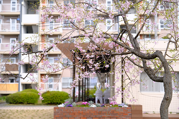 apartment 枚方市香里ヶ丘九丁目5番地の1 他（Ｄ地区）

住棟配置図