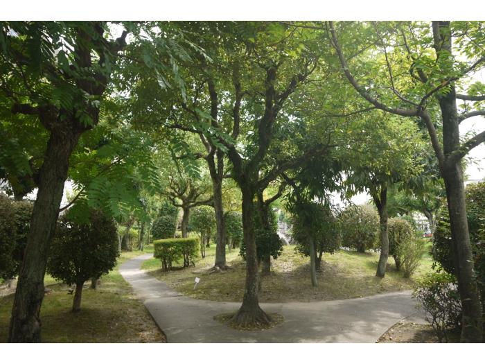 apartment 春日市春日公園1丁目 ほか

住棟配置図